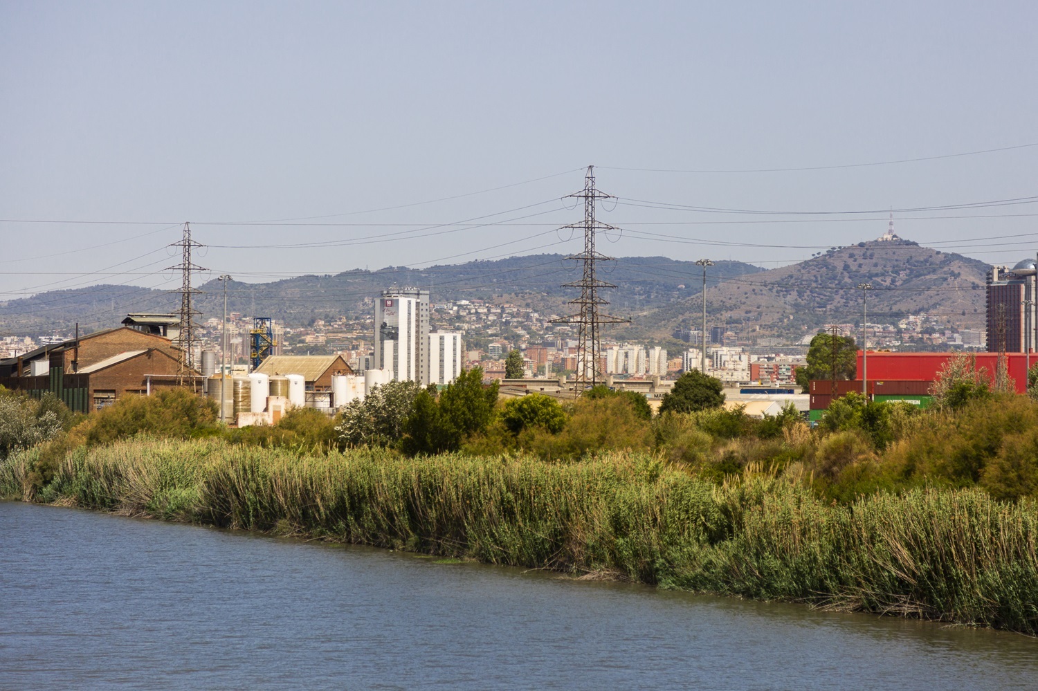 ca Assemblea Metropolitana Manifesta en  es