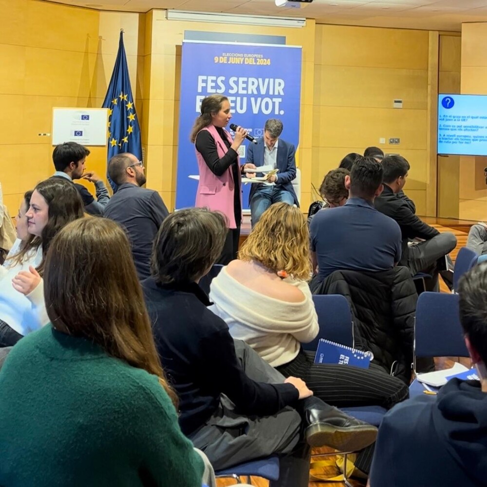 Workshop on the participation of young people in democratic processes in Europe