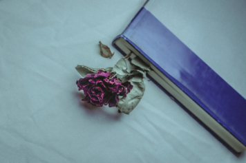 Sant Jordi 2024