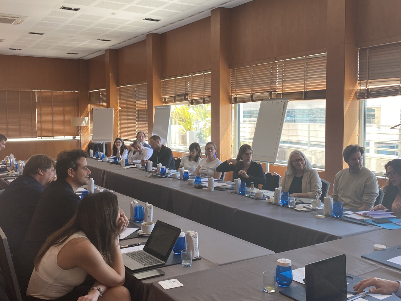'Widening The Lens: A Snapshot of Democratic Innovation Worldwide'